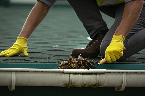 Gutter Cleaning