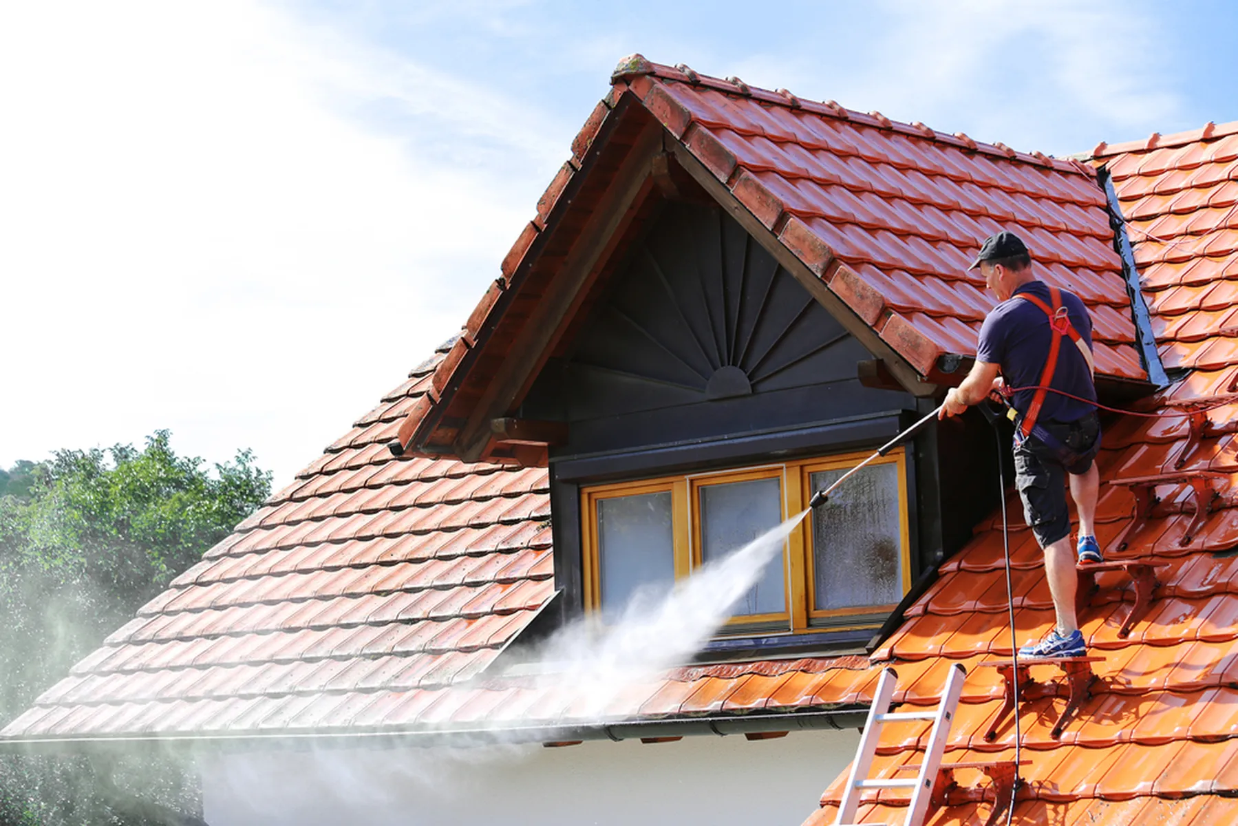 gutter cleaning tools. gutter spraying pistol