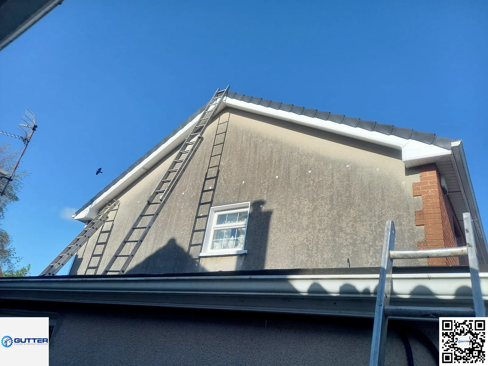 Mature trees = blocked gutters