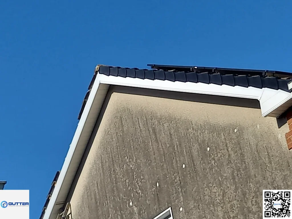 roof gutter cleaning