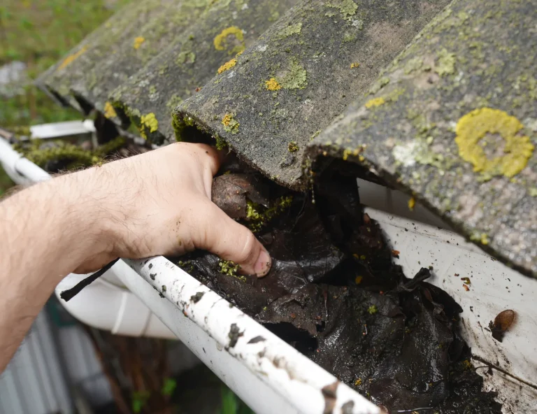 gutter cleaning from leaves before winter on house in limerick