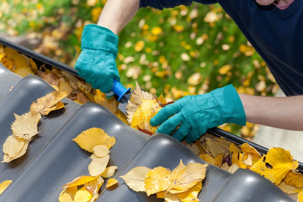 gutter brush washing in limerick