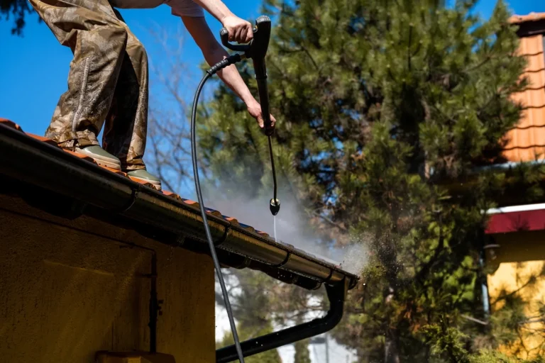 gutter spraying and cleaning