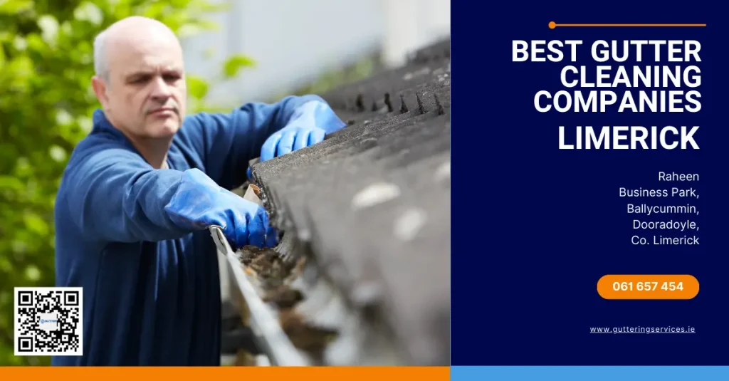 best gutter cleaning companies limerick