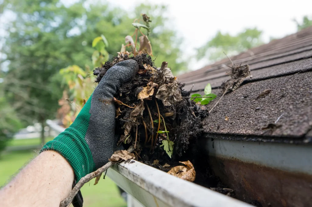 clean-rain-gutters