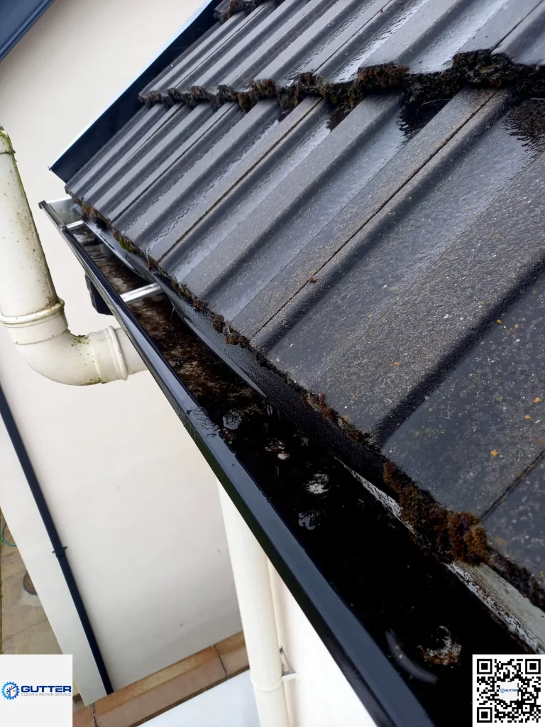 dirty gutters cleaning