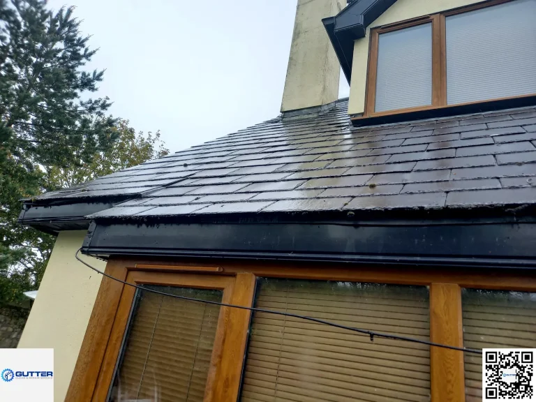 gutter cleaning in limerick